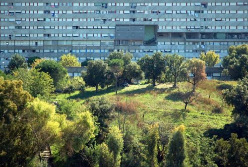 310437772_4a46c8fe00_o