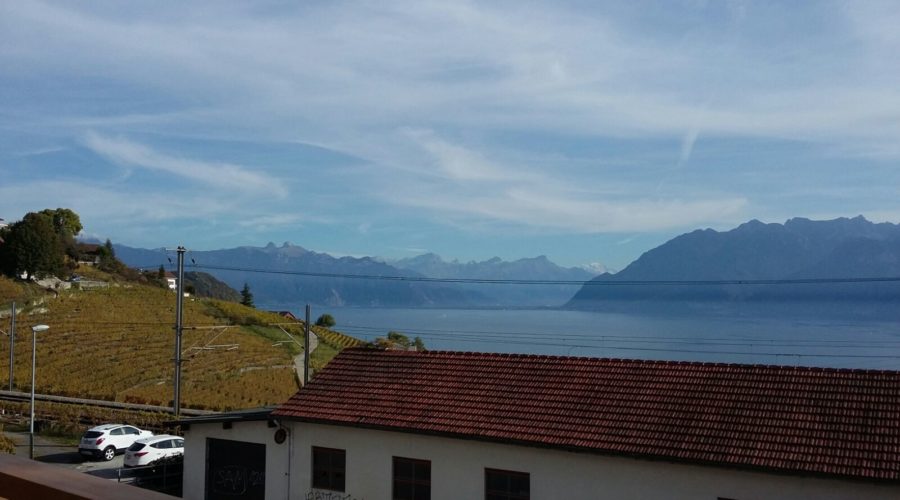 photo_studio_G17_9-900x500