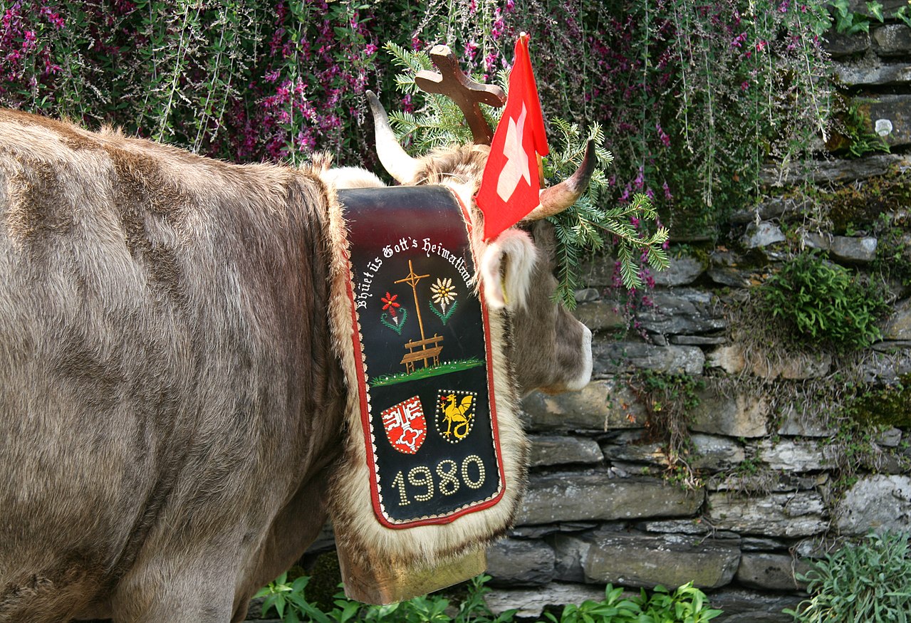 1280px-alpabzug_in_bauen_ur_1