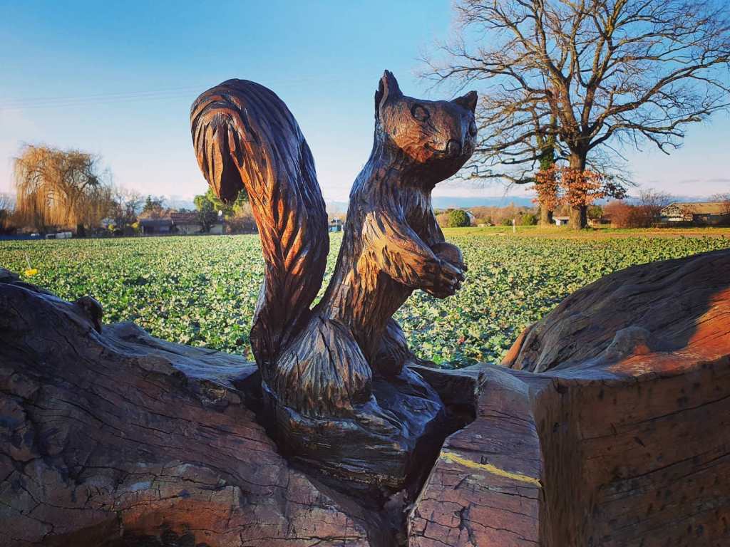 Genève: un écovillage sur la Rive&nbsp;Gauche?